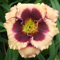 Laliovka Crystal Pinot