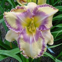 Laliovka Kaleidoscope Canyon