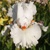 Iris Enamel Paint